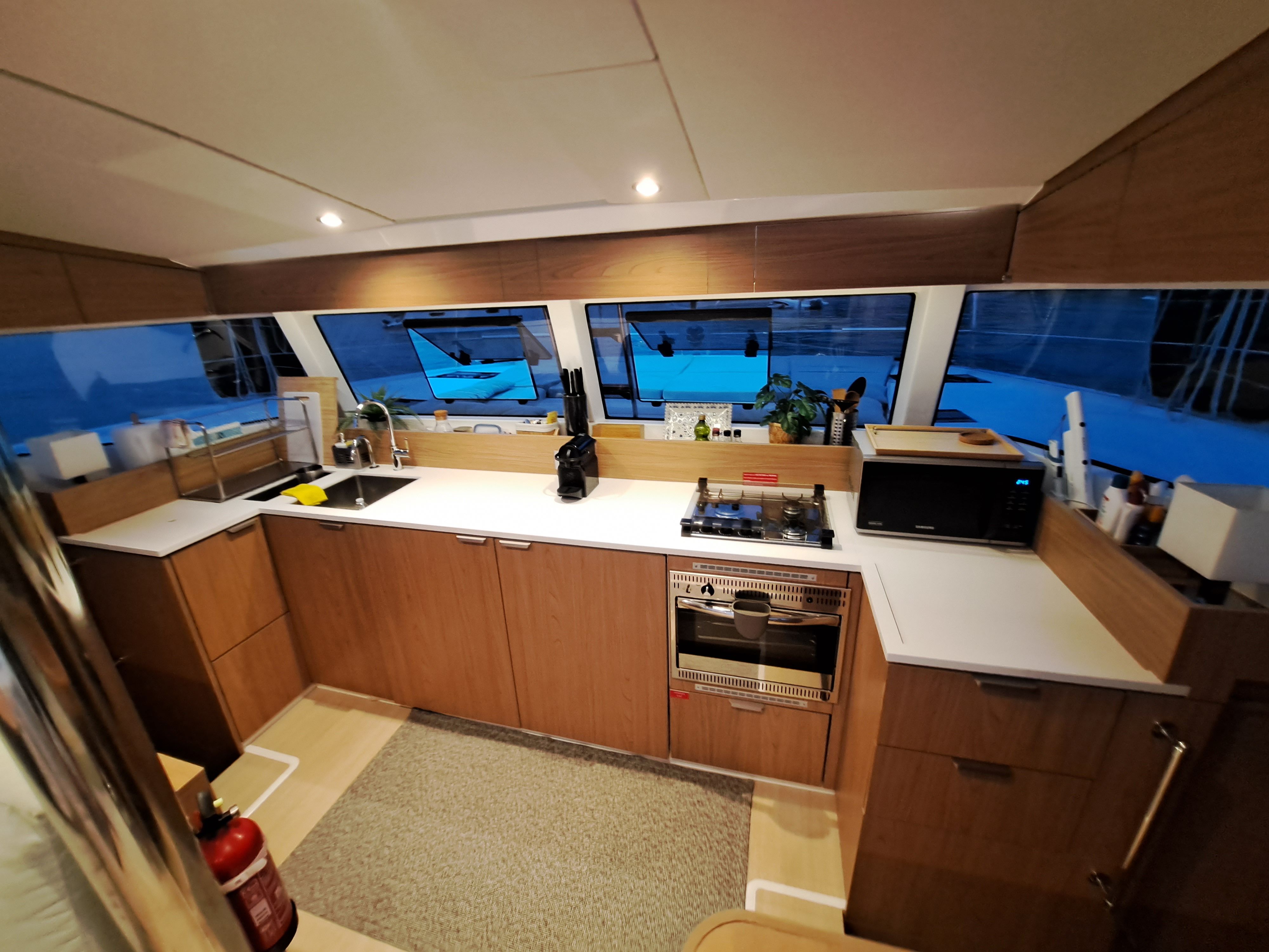 Bali Catsmart | Dortoka*