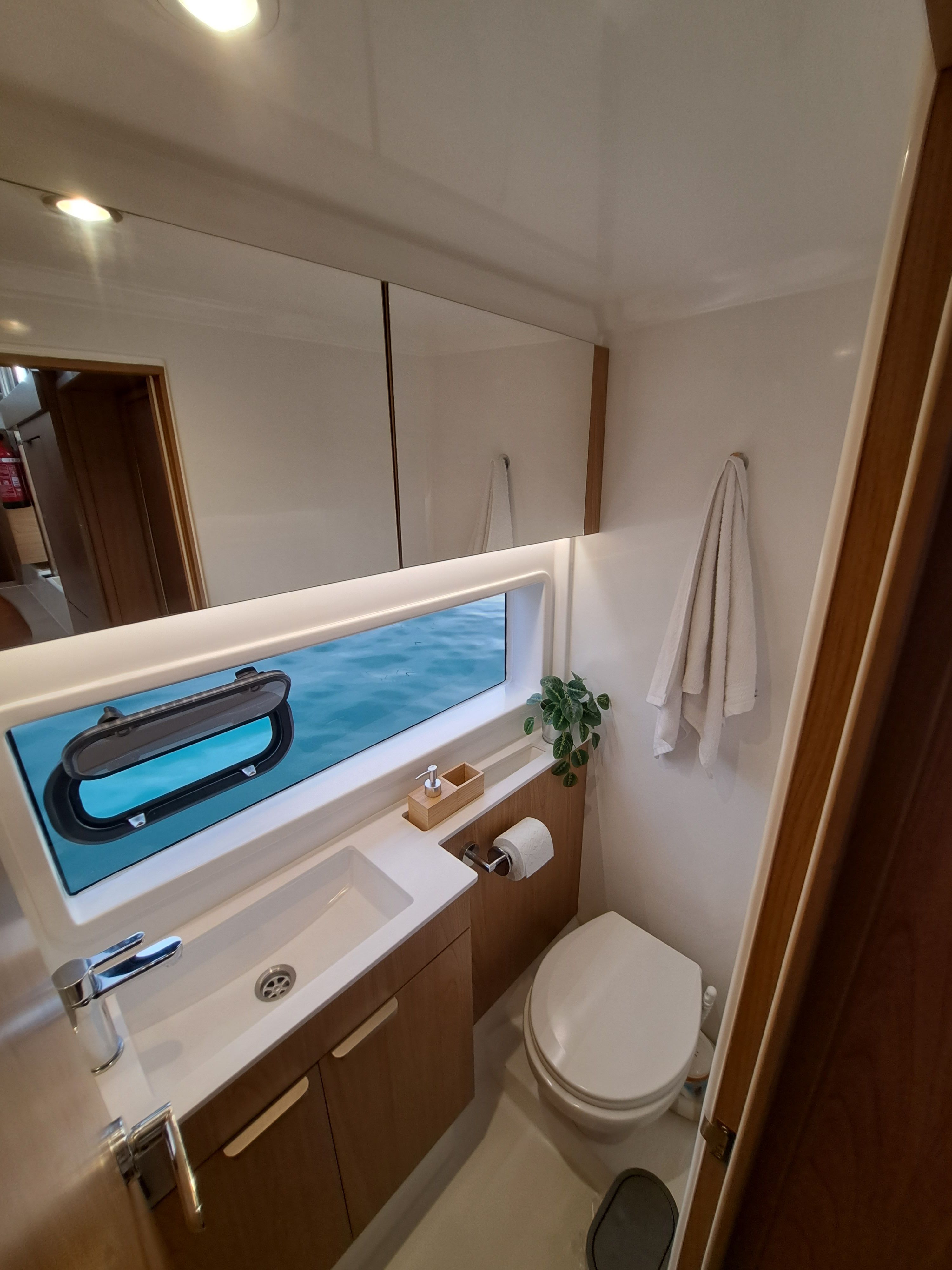 Bali Catsmart | Dortoka*