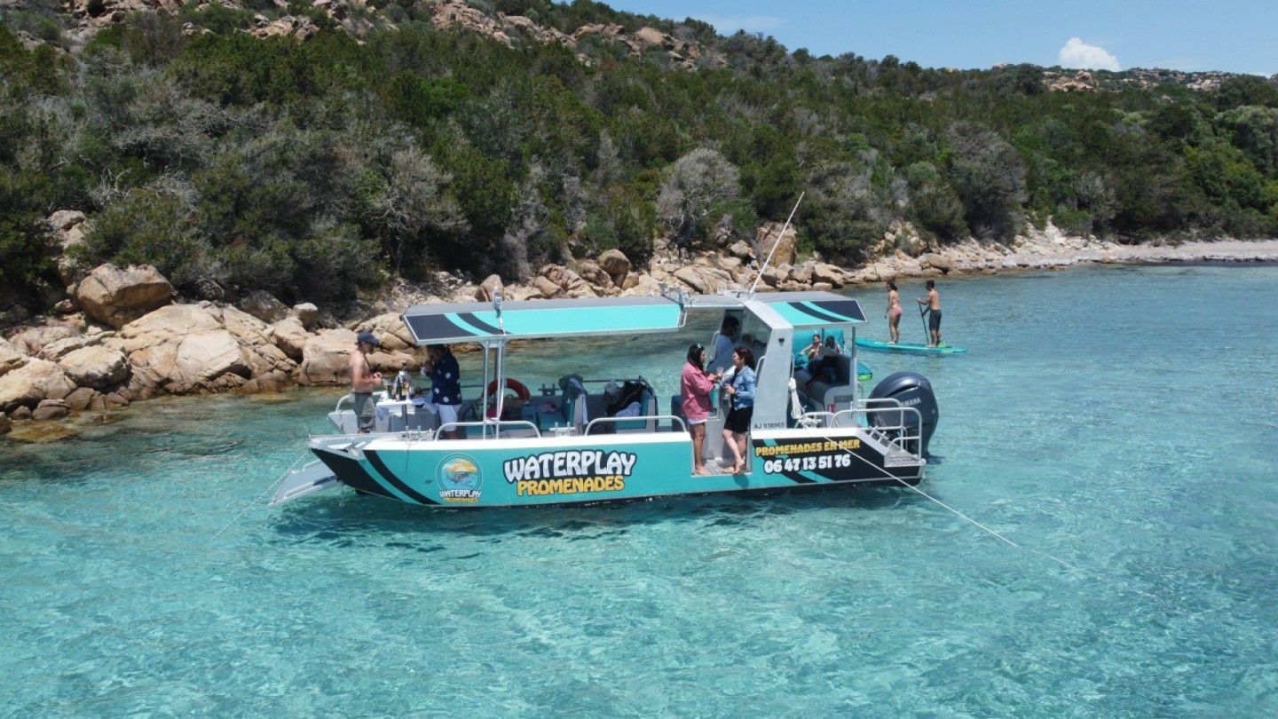 Custom Built 26 | Fantasia