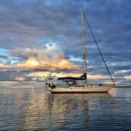 Custom Built 54 | The Dove