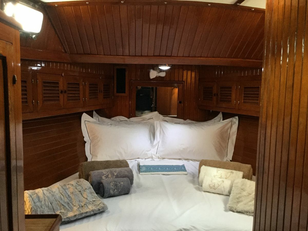 Custom Built 54 | The Dove