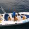 Viga Luxury 650 | Viga