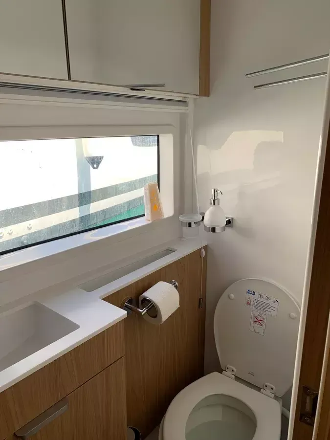 Bali Catsmart | Go With The Flow