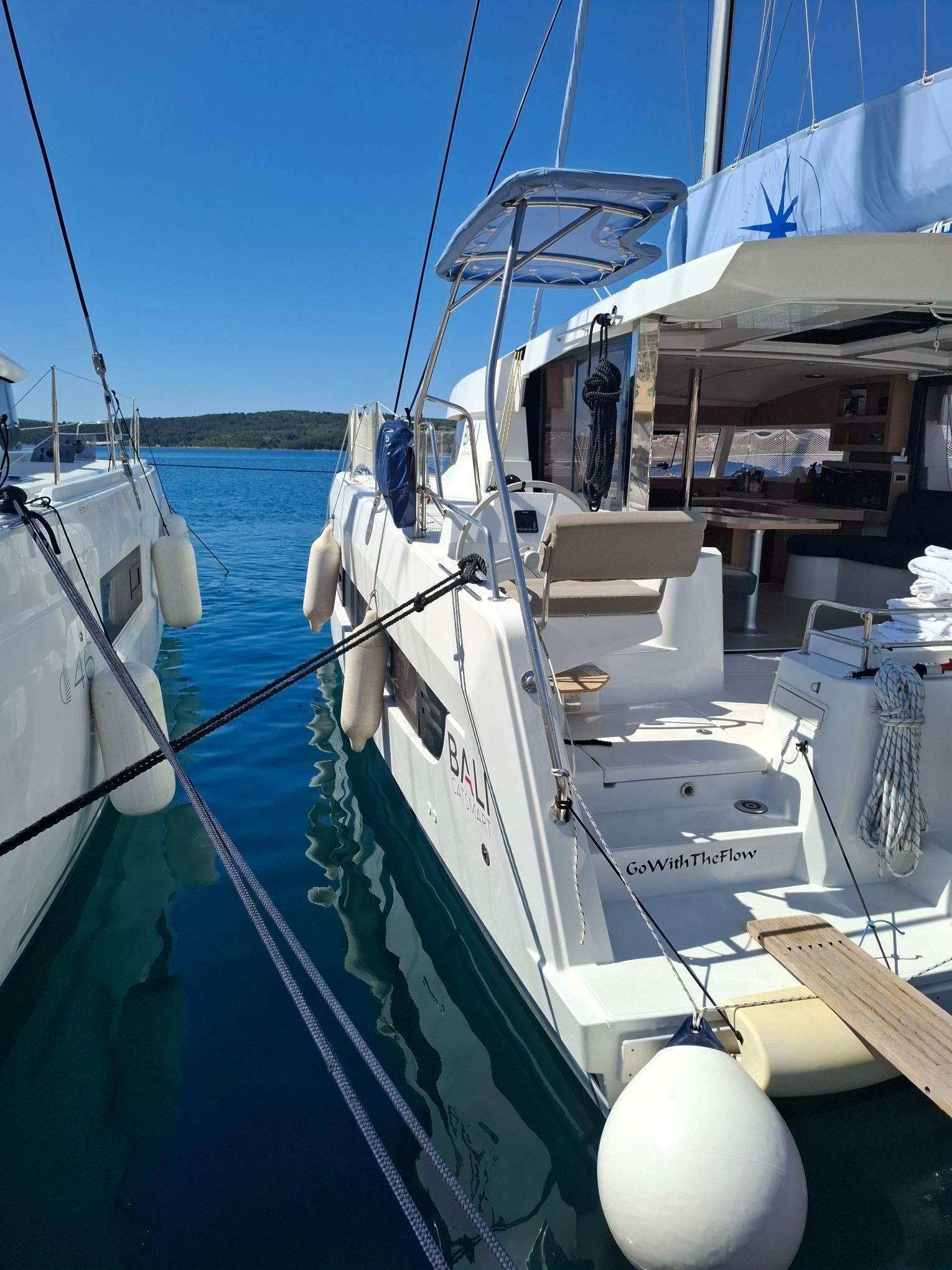 Bali Catsmart | Go With The Flow