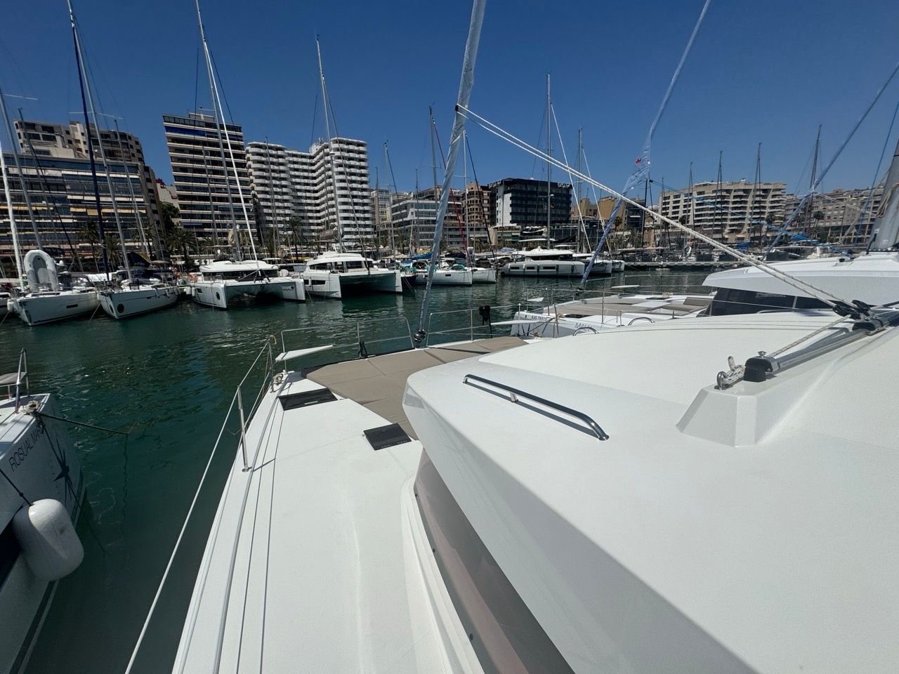 Bali Catsmart | Voyager