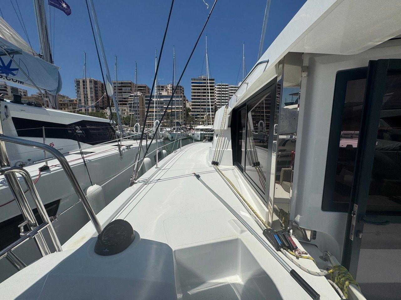 Bali Catsmart | Voyager