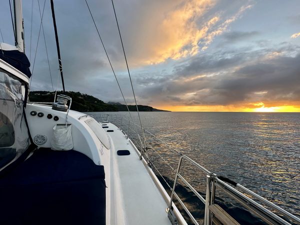 Privilege 585 | Lady Marigot