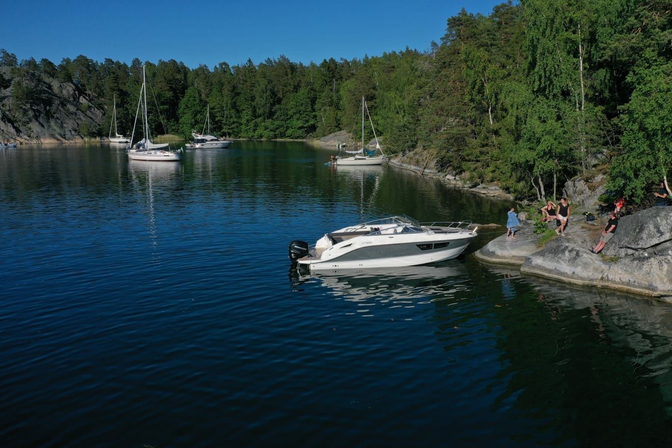 Uttern D77 | Griffin