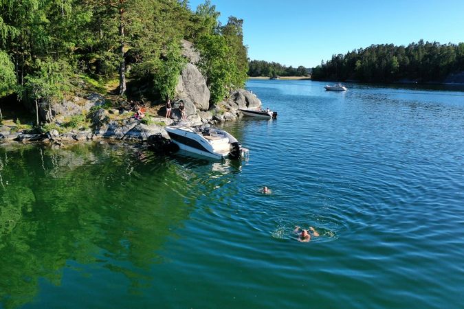 Uttern D77 | Griffin