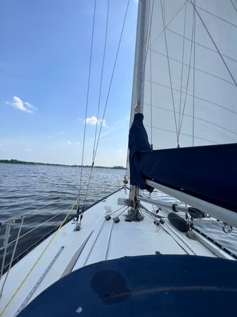 Carter 33 | Bastille