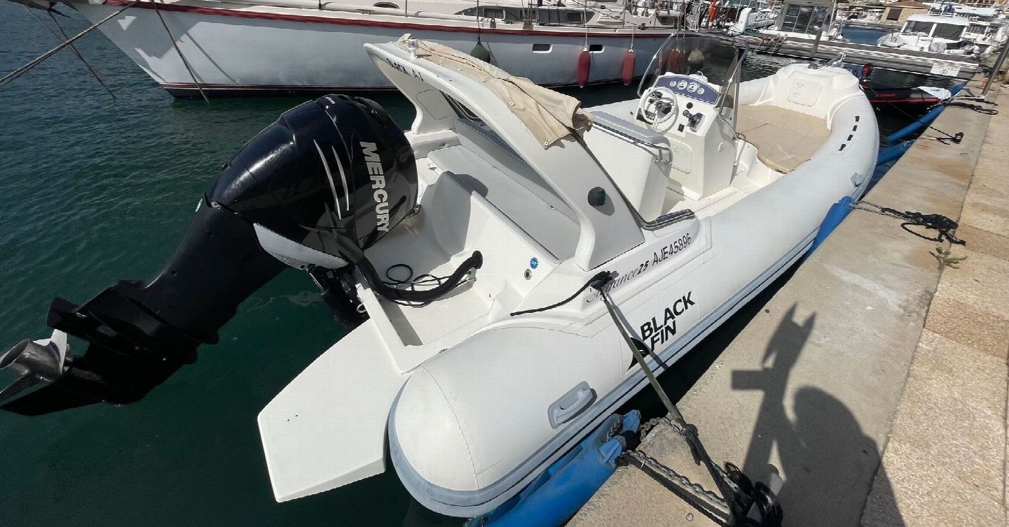 Black Fin Elegance 25 | 11