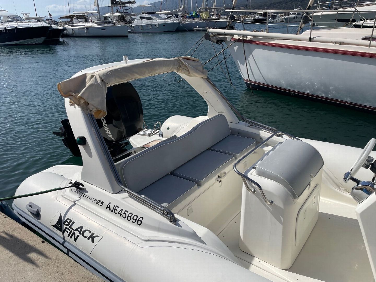 Black Fin Elegance 25 | 11