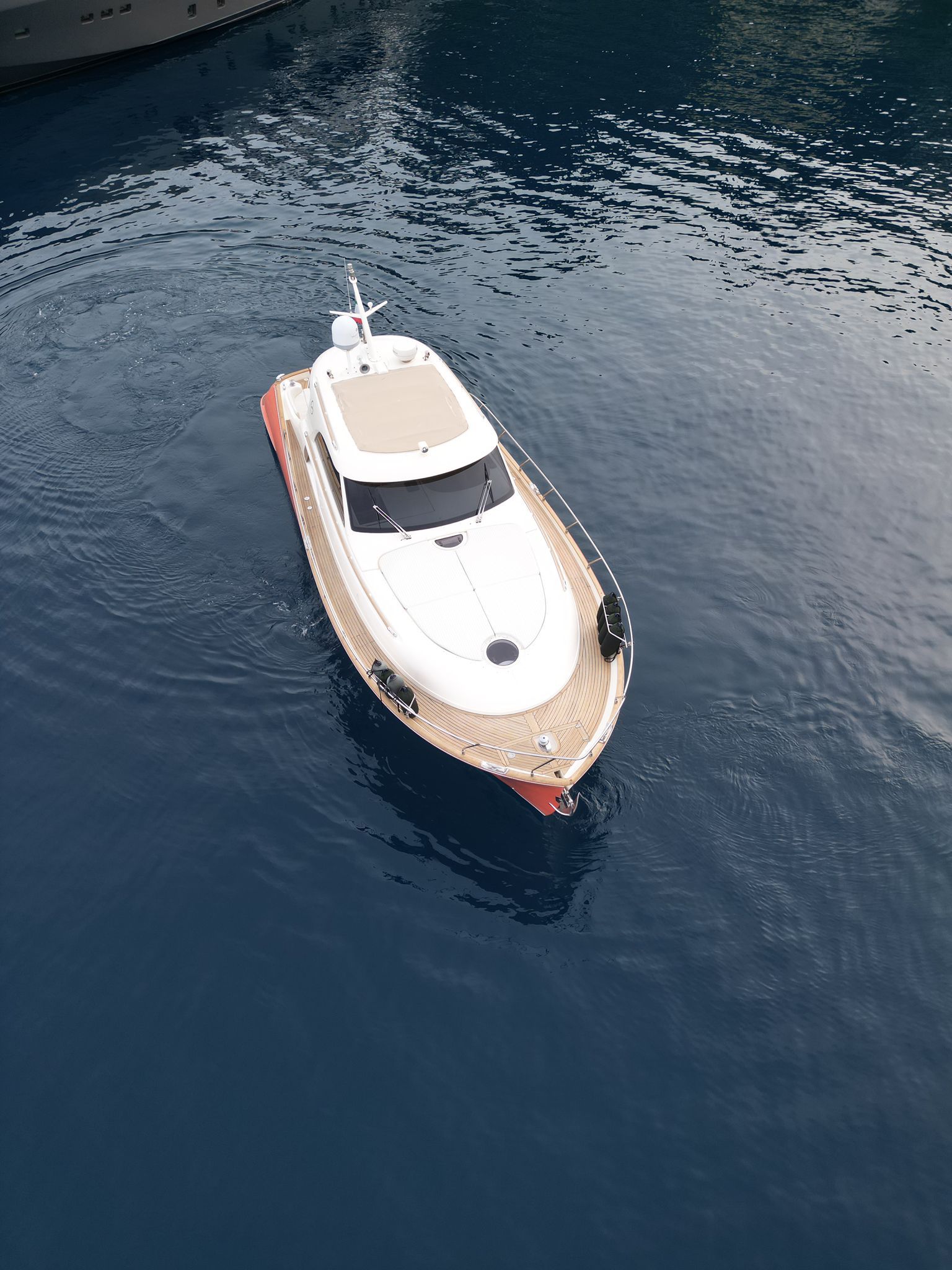 Mochi Craft Dolphin 44 | Ameli