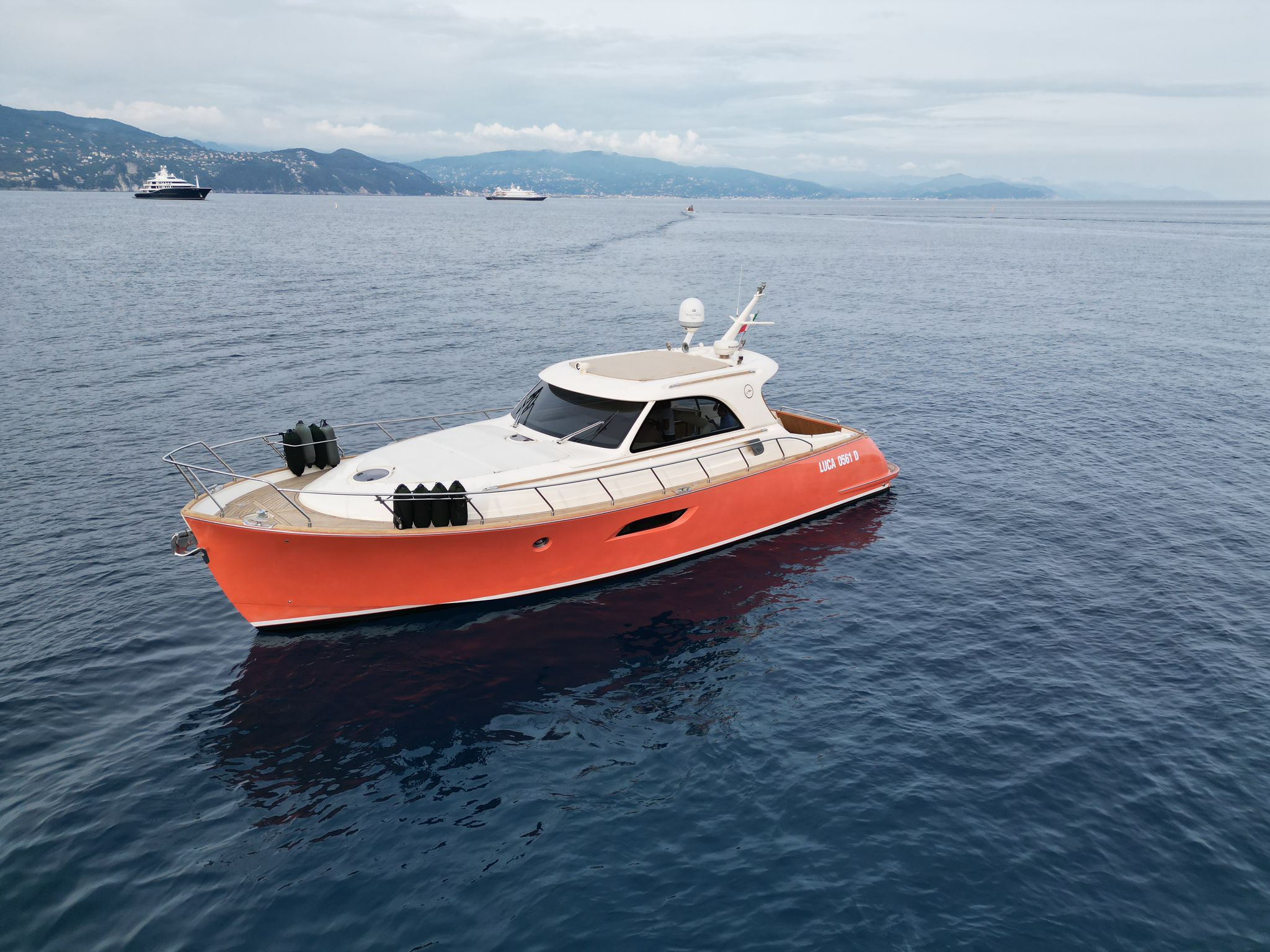 Mochi Craft Dolphin 44 | Ameli