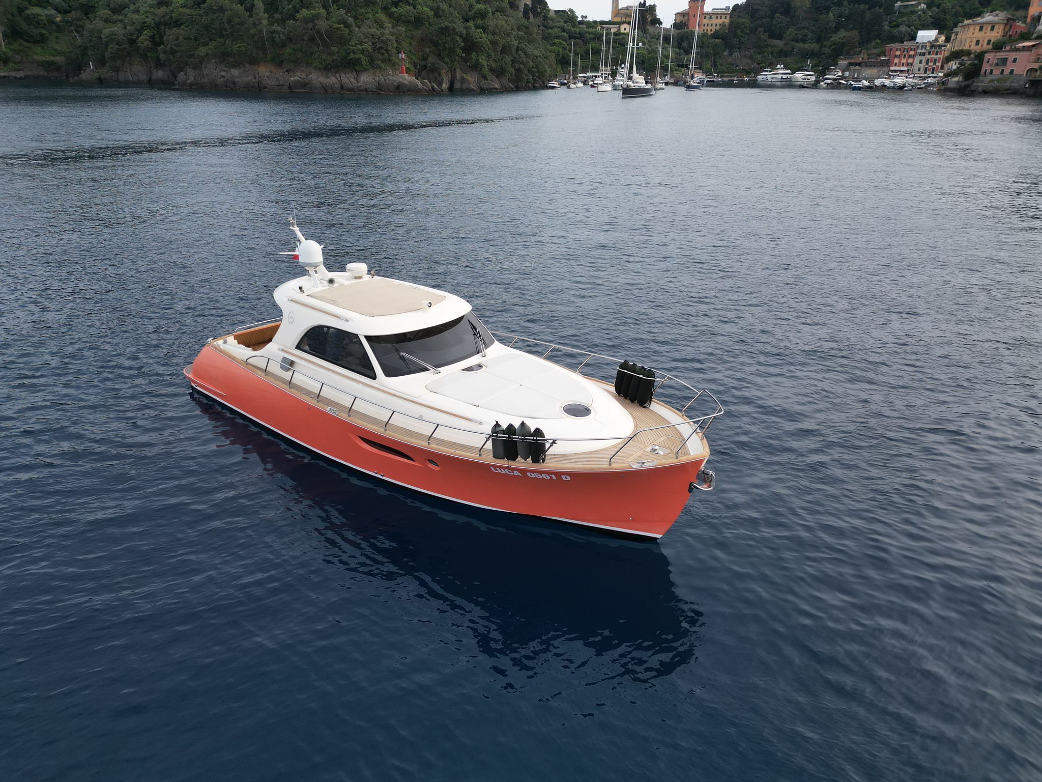 Mochi Craft Dolphin 44 | Ameli