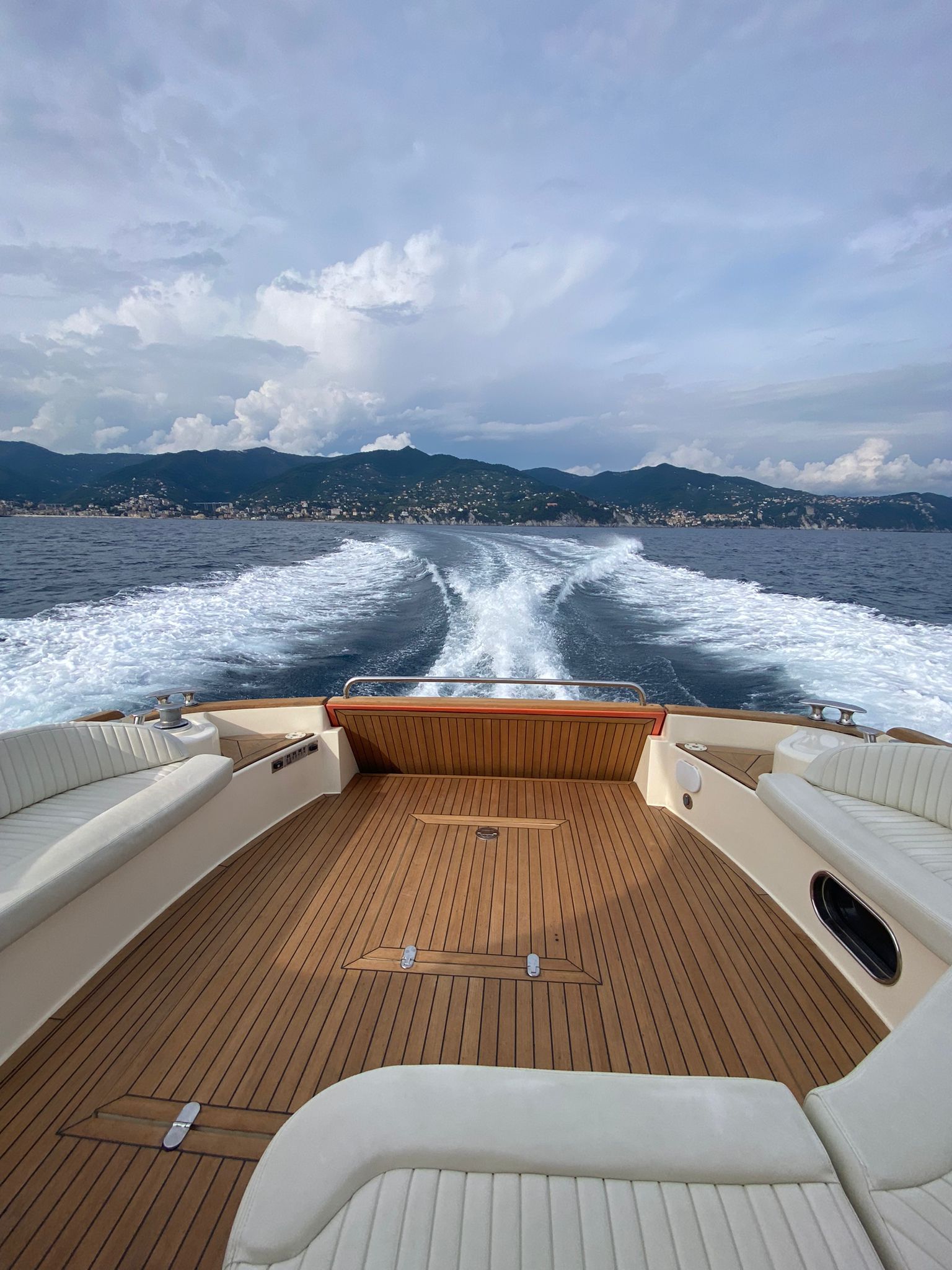 Mochi Craft Dolphin 44 | Ameli