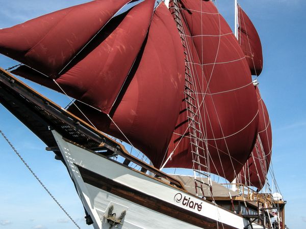 Custom Built 149 | Tiare