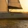 Jeanneau Sun Odyssey 349 | Coyote