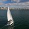 Jeanneau Sun Odyssey 349 | Coyote