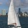 Jeanneau Sun Odyssey 349 | Coyote