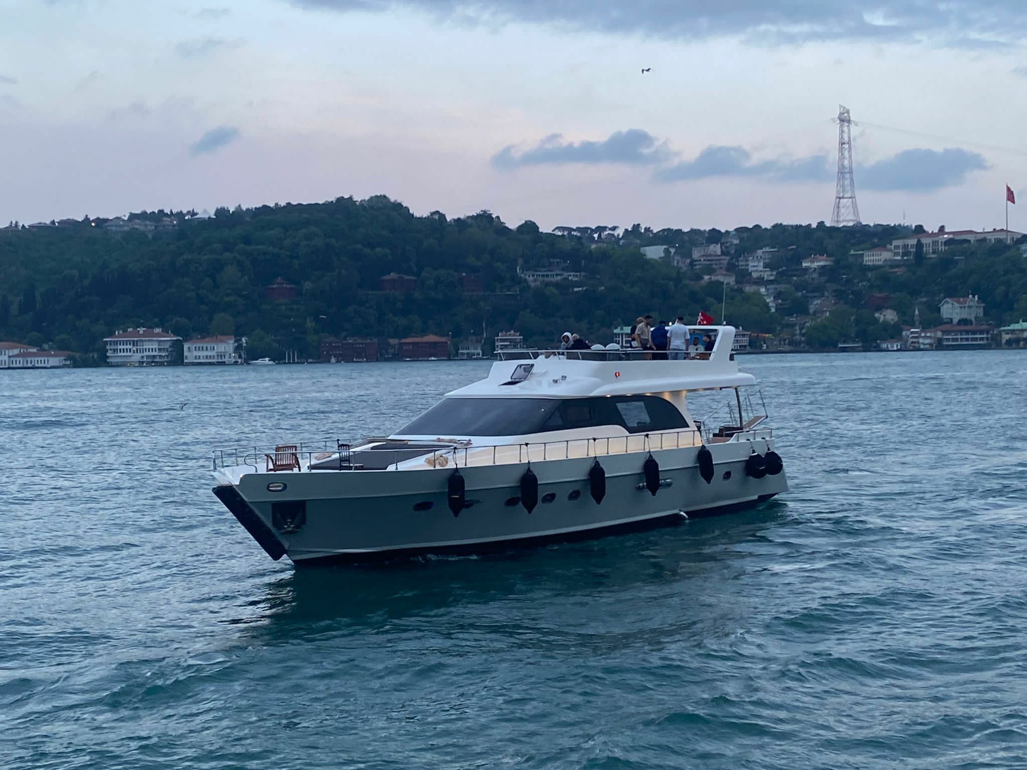 Custom Built 75 | Carphatia