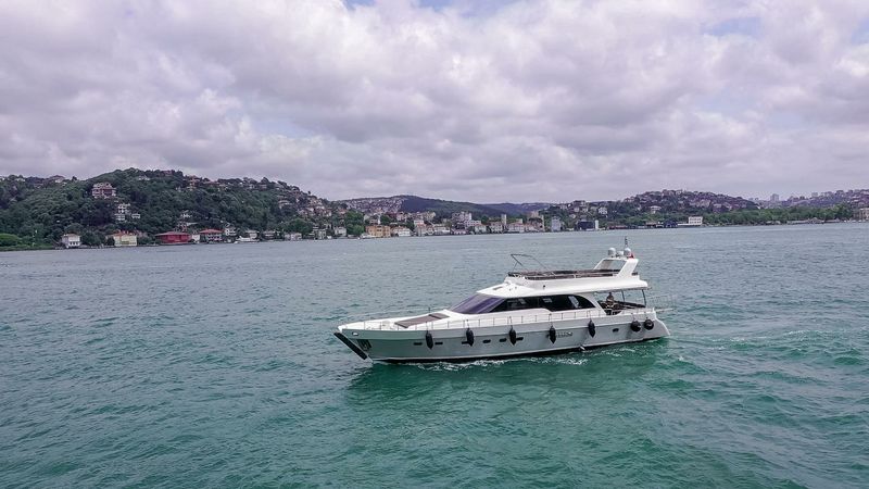 Custom Built 75 | Carphatia