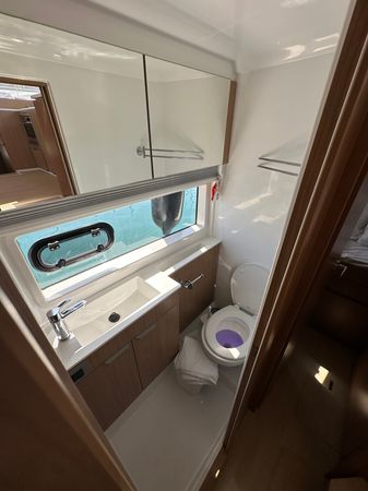 Bali Catsmart | One Love