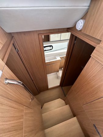 Bali Catsmart | One Love