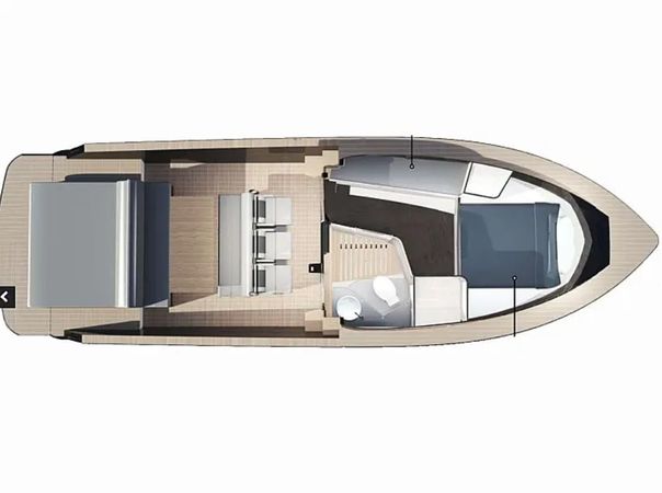 Focus Forza 37 | Forza