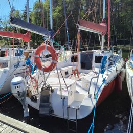 Fortuna 29 | Nikczemnik