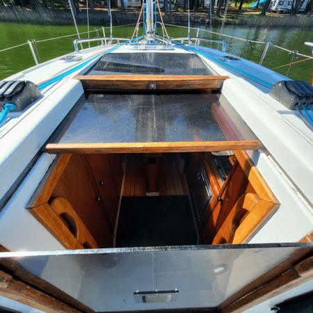 Hornet 29 | Zakapior