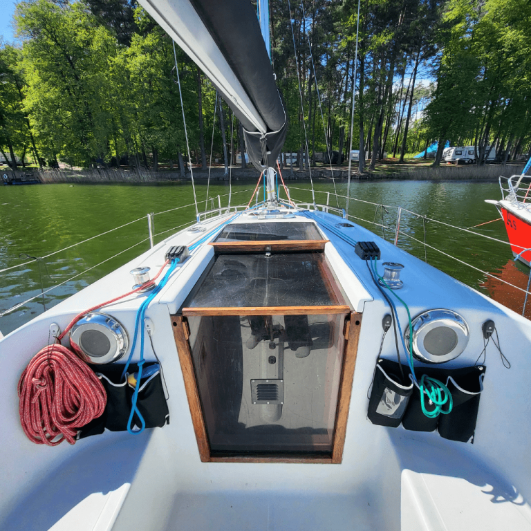 Hornet 29 | Zakapior