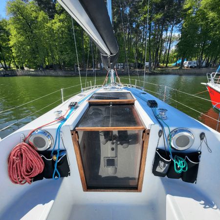 Hornet 29 | Zakapior