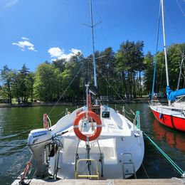 Hornet 29 | Zakapior