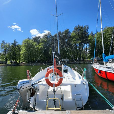 Hornet 29 | Zakapior