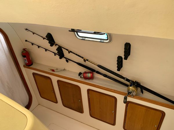 Jaguar 41 | Mikea Discovery