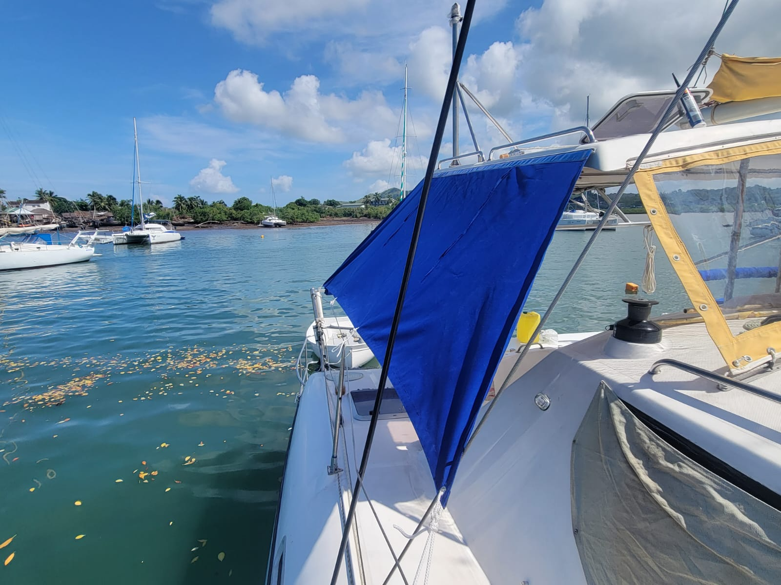 Jaguar 41 | Mikea Discovery