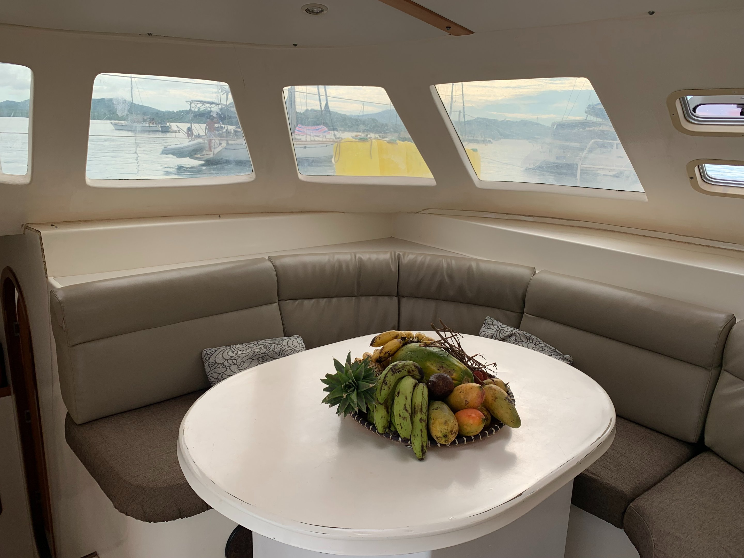 Jaguar 41 | Mikea Discovery