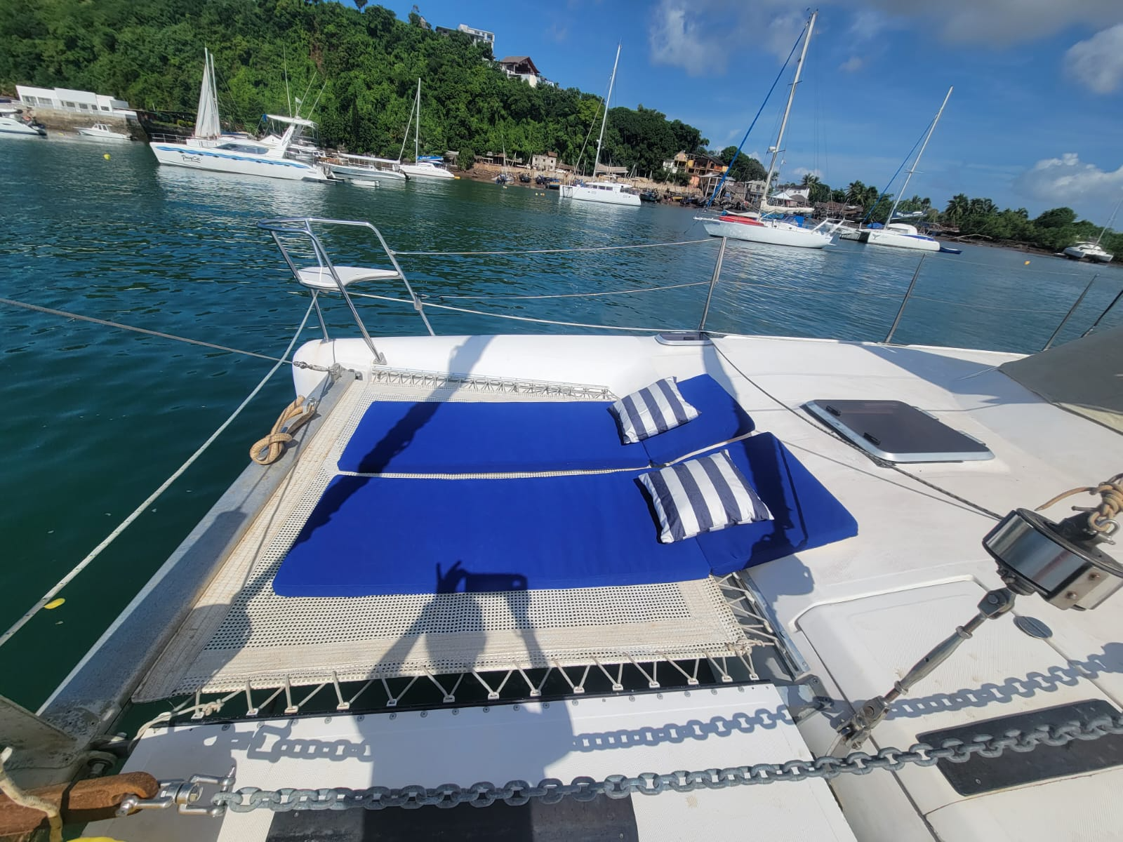 Jaguar 41 | Mikea Discovery