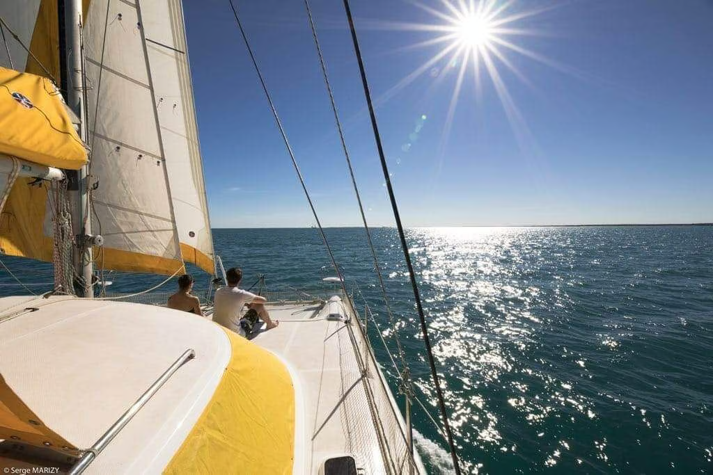 Jaguar 41 | Mikea Discovery