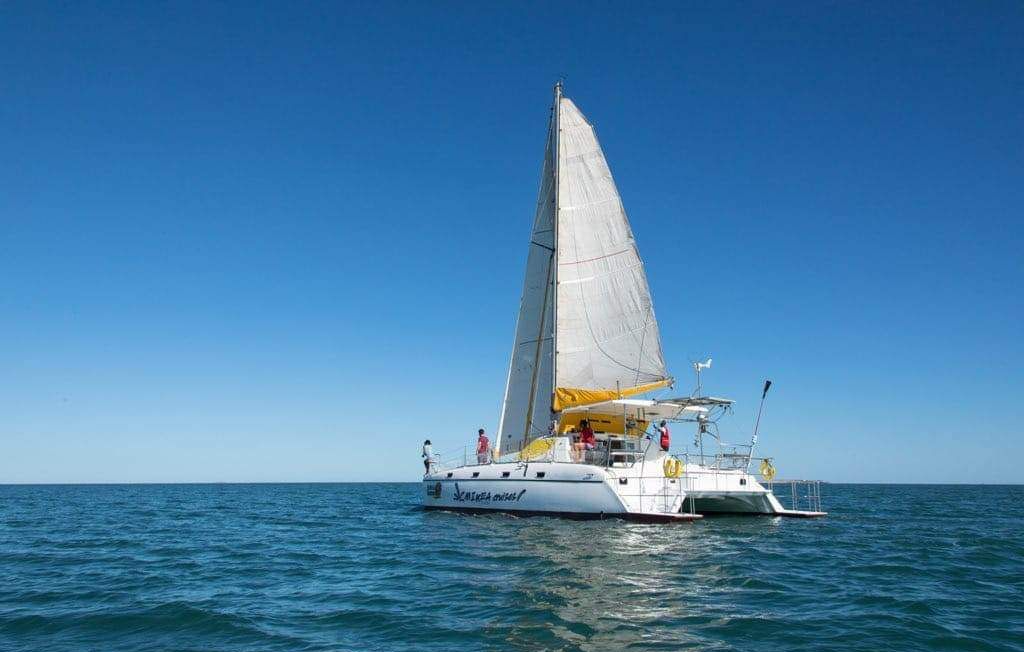 Jaguar 41 | Mikea Discovery