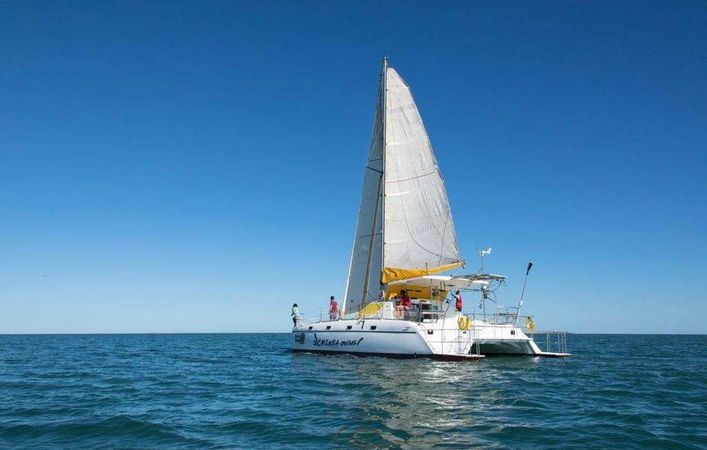 Jaguar 41 | Mikea Discovery