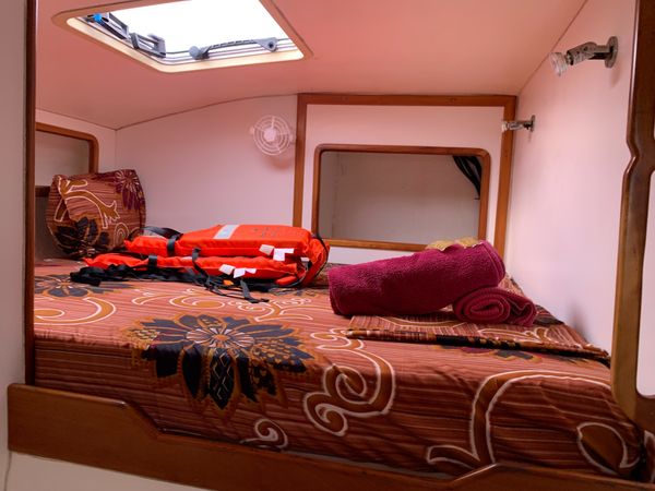 Jaguar 41 | Mikea Discovery