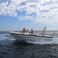 Capelli Tempest 775 | Sea Wind