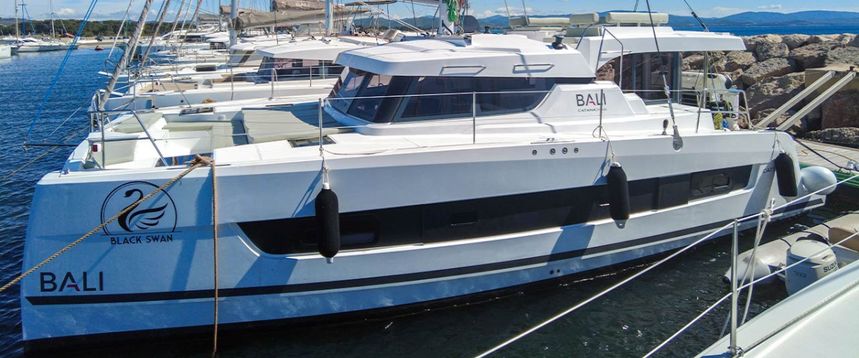 Bali Catspace | Black Swan