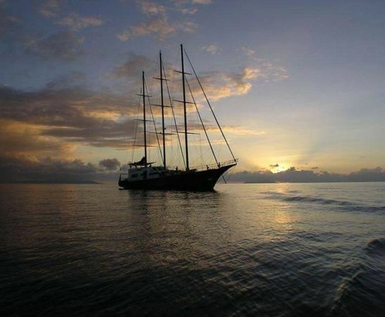 Custom Built 131 | Sea Star