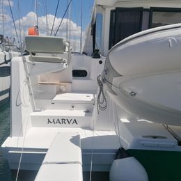 Bali Catsmart | Marva