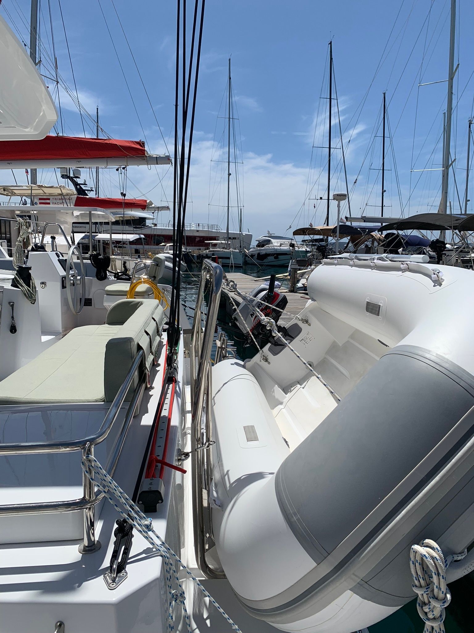 Bali Catsmart | Marva