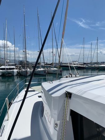 Bali Catsmart | Marva