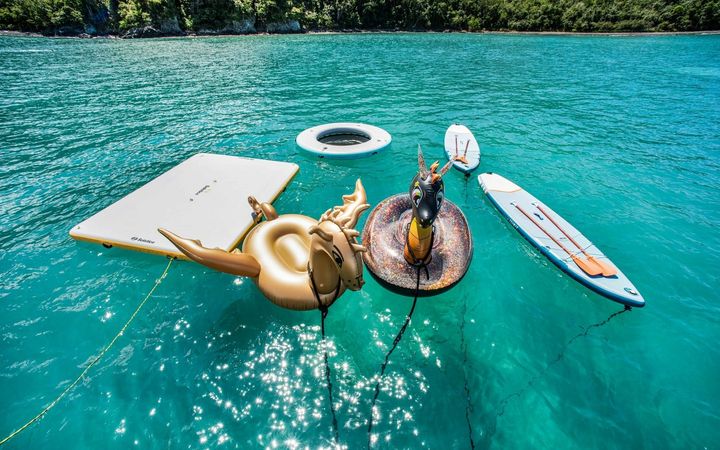 Bali 5.4 | Permabear